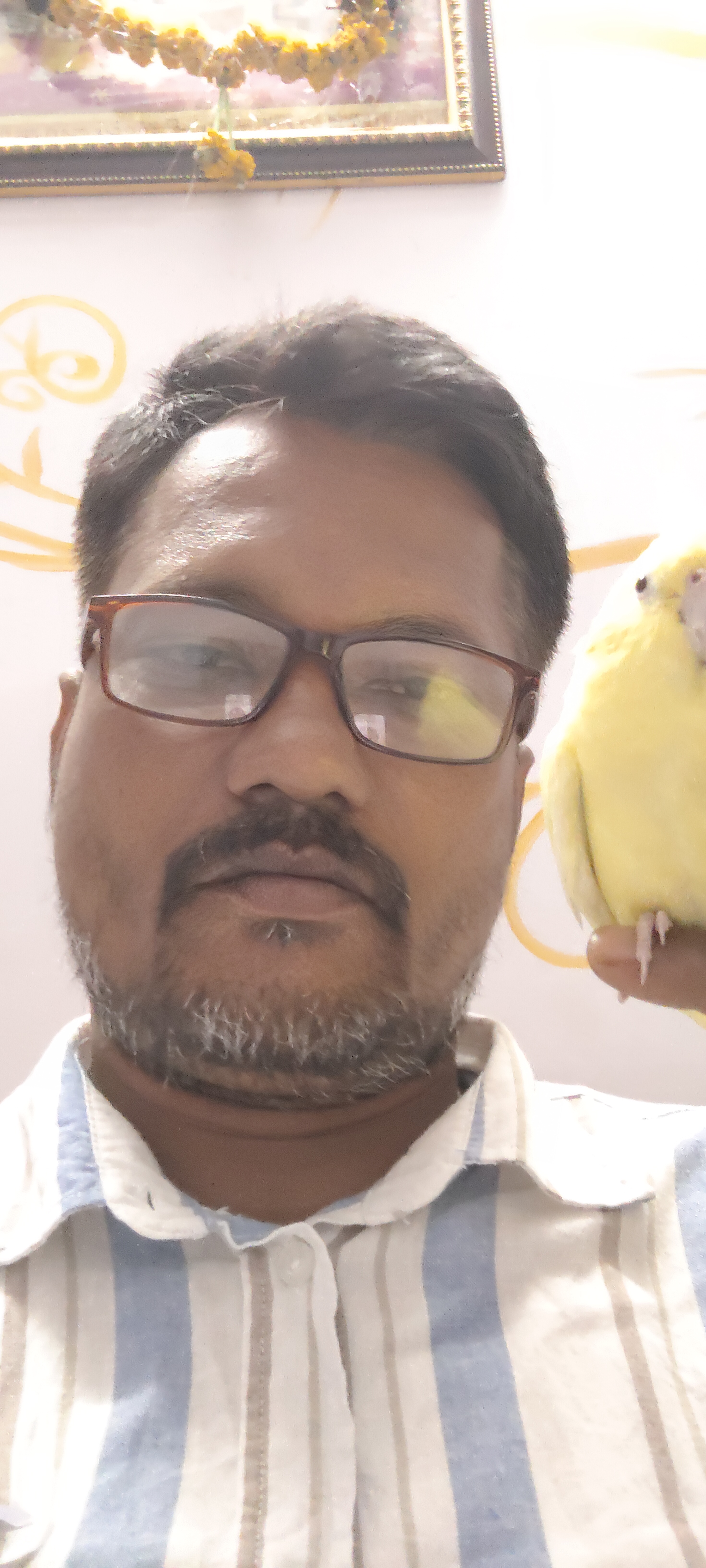 Gopi Kumar