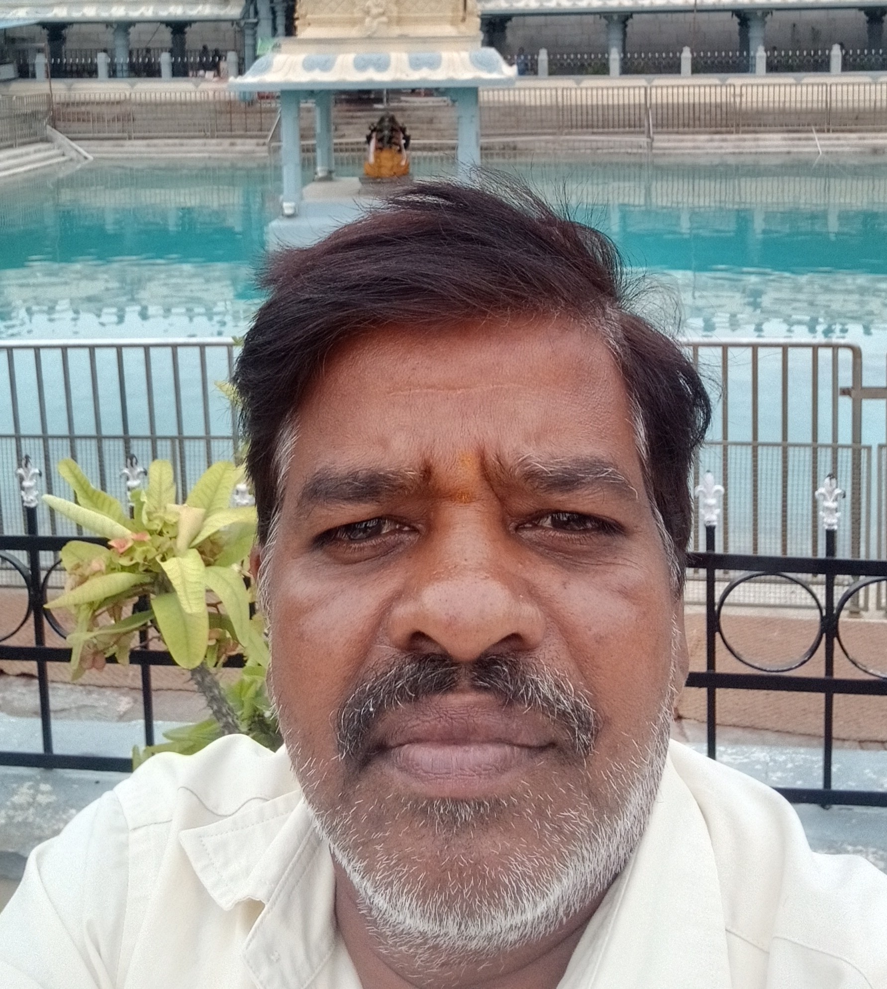 Madhava Chary Poloju